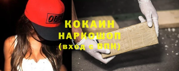 ПСИЛОЦИБИНОВЫЕ ГРИБЫ Арсеньев