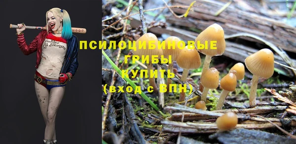 крисы Армянск