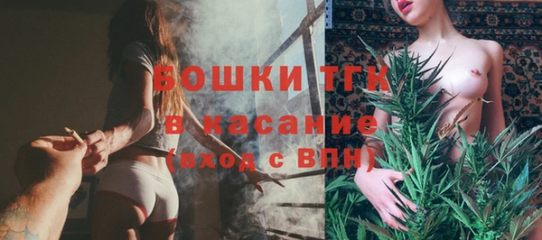 ПСИЛОЦИБИНОВЫЕ ГРИБЫ Арсеньев