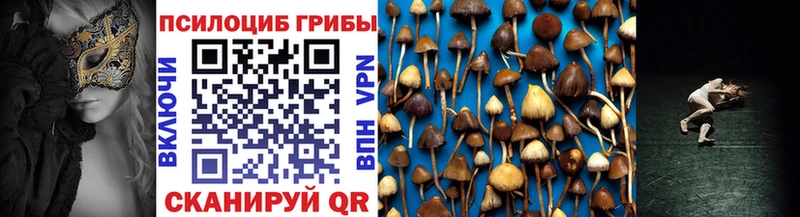 Галлюциногенные грибы Psilocybe  купить   Белая Калитва 